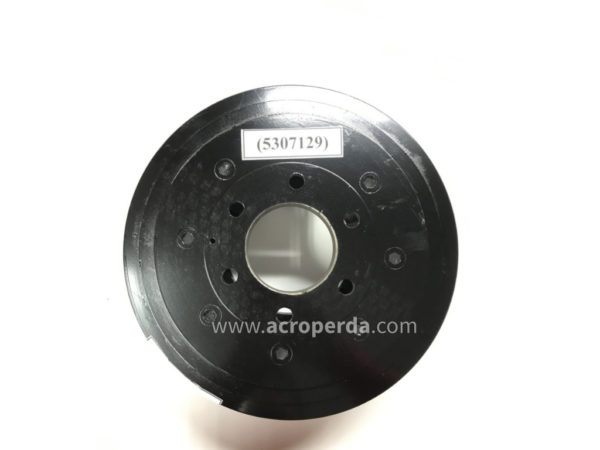 Rotor + Brida (Moyú) (TP10/TP10M) 5305025 - Imagen 5