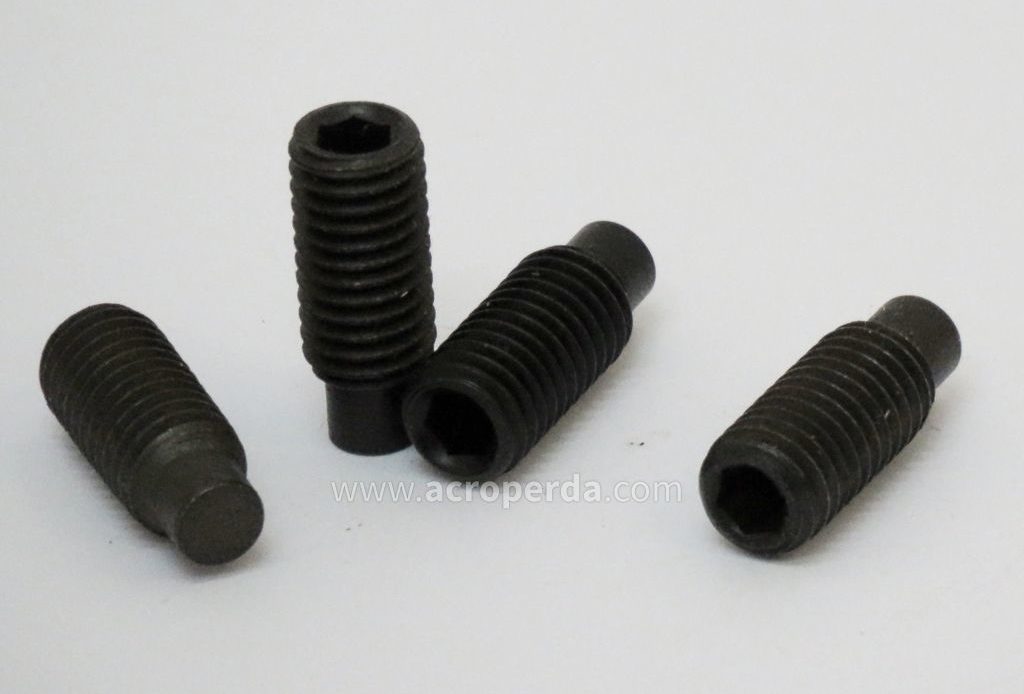 Espárrago Sujeción Palas M10x25 Nº28