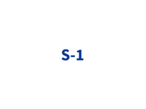 S-1