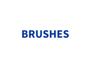 BRUSHES